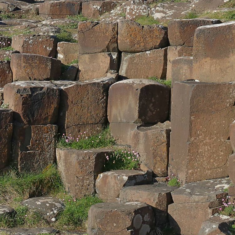 Basaltsäulen Giants Causeway